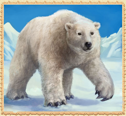 White Bear