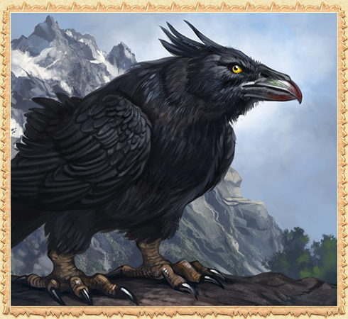 Wild Corvus